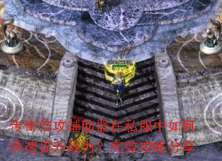 ���汶����������˽������ο�������ս������Ч���Է���