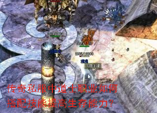 ����˽���е�ʿְҵ��δ��似���������������