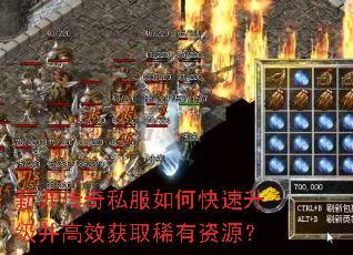 �¿�����˽����ο�����������Ч��ȡϡ����Դ��