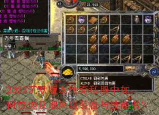 2003��Ĭ�汾����˽������ο��ٻ�ȡ�߼�װ���뼼���飿