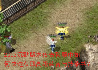 2003��Ĭ�汾����˽������ο��ٻ�ȡ�߼�װ���뼼���飿