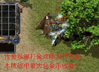 传奇私服打金攻略怎样在副本挑战中最大化金币收益? 传奇私服打金攻略怎样在副本挑战中最大化金币收益?