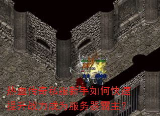 ��Ѫ����˽��������ο�������ս����Ϊ������������