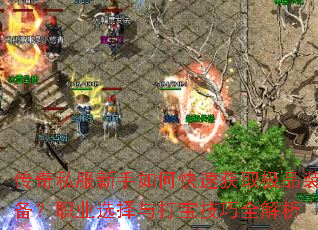 ����˽��������ο��ٻ�ȡ��Ʒװ����ְҵѡ����򱦼���ȫ����