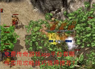 ѴϷappƽ̨ЩʵùԼֵƼ