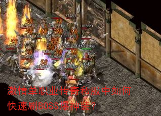 鵥ְҵ˽οˢBOSSװ