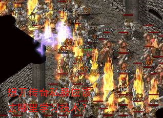 뿪˽Ӧȥѧϰ