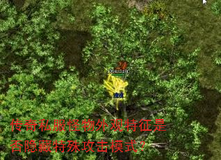 传奇私服怪物外观特征是否隐藏特殊攻击模式? 传奇私服怪物外观特征是否隐藏特殊攻击模式?
