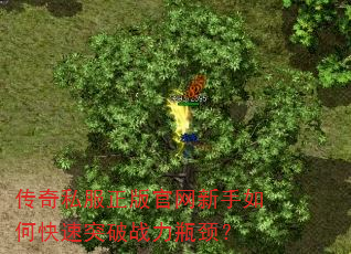 传奇私服正版官网新手如何快速突破战力瓶颈? 传奇私服正版官网新手如何快速突破战力瓶颈?