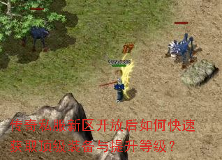 传奇私服新区开放后如何快速获取顶级装备与提升等级? 传奇私服新区开放后如何快速获取顶级装备与提升等级?