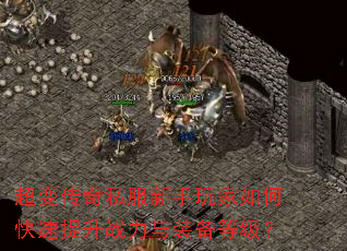 ���䴫��˽�����������ο�������ս����װ���ȼ���