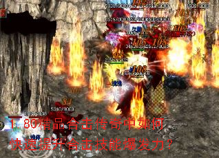 1.80��Ʒ�ϻ���������ο��������ϻ����ܱ�������