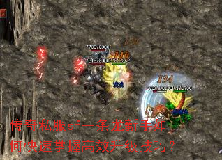 ����˽��sfһ����������ο������ո�Ч�������ɣ�