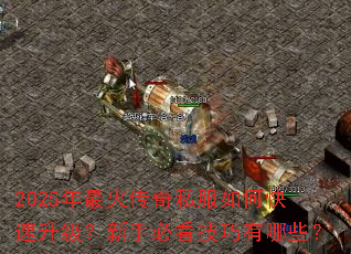 2025�������˽����ο������������ֱؿ���������Щ��