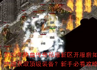 2025����Ѫ����˽��������������ο��ٻ�ȡ����װ�������ֱؿ����Խ���