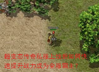 ����̬����˽�����ߺ���ο�������ս����Ϊȫ��������