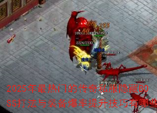 2025�������ŵĴ���˽������BOSS����װ������������������Щ��