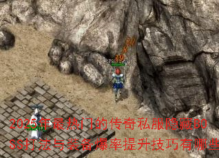 2025�������ŵĴ���˽������BOSS����װ������������������Щ��