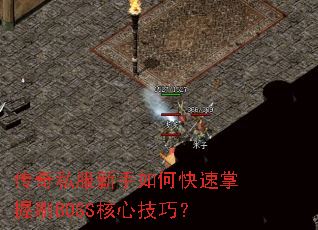 ����˽��������ο�������ˢBOSS���ļ��ɣ�