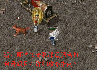 ������Щ����˽�����ʺϴ������������ϸ����ָ�ϣ�