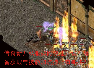 �����¿�˽����ο���������װ����ȡ�뼼�ܼӵ㼼������Щ��