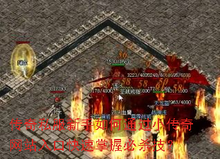 ����˽���������ͨ��С������վ��ڿ������ձ�ɱ����