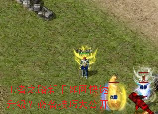 ����֮·������ο����������ر����ɴ󹫿�