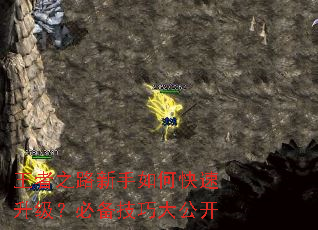 ����֮·������ο����������ر����ɴ󹫿�