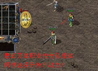 ���¿���ְҵ����˽����ο���������ɫս����