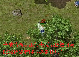 �ϳɴ���˽�������װ��������BOSS��ս����Щ�ر����ɣ�