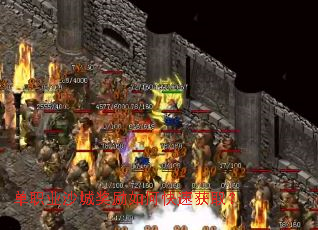 ��ְҵɳ�ǽ�����ο��ٻ�ȡ��