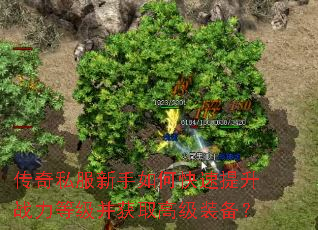 ����˽��������ο�������ս���ȼ�����ȡ�߼�װ����