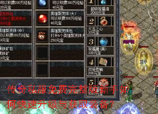 ����˽�����������������ο����������ȡװ����