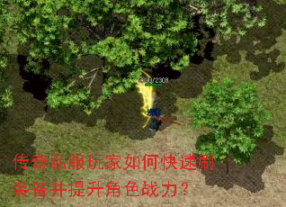 传奇私服玩家如何快速刷装备并提升角色战力? 传奇私服玩家如何快速刷装备并提升角色战力?