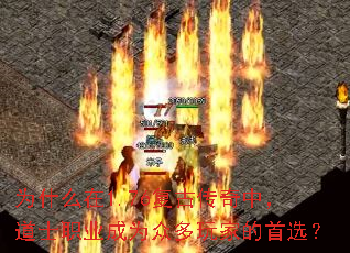 Ϊʲô��1.76���Ŵ����У���ʿְҵ��Ϊ�ڶ���ҵ���ѡ��