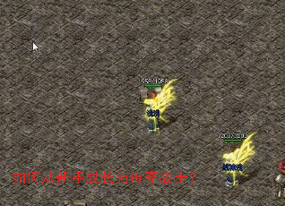 如何从新手成长为传奇战士? 如何从新手成长为传奇战士?