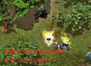 怀旧传奇骷髅鬼服为何能吸引老玩家回归? 怀旧传奇骷髅鬼服为何能吸引老玩家回归?