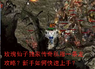 玫瑰仙子独家传奇私服一条龙攻略?新手如何快速上手? 玫瑰仙子独家传奇私服一条龙攻略?新手如何快速上手?