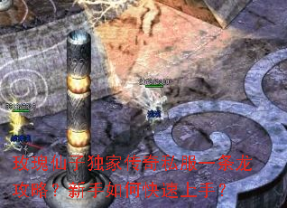 玫瑰仙子独家传奇私服一条龙攻略?新手如何快速上手? 玫瑰仙子独家传奇私服一条龙攻略?新手如何快速上手?