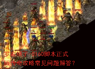 �޼�����-0160�ű���ʽ�洫�湥�Գ���������