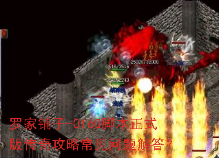 �޼�����-0160�ű���ʽ�洫�湥�Գ���������