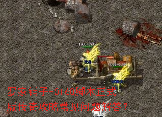 �޼�����-0160�ű���ʽ�洫�湥�Գ���������