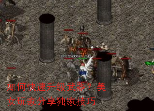 如何快速升级武器?美女玩家分享独家技巧 如何快速升级武器?美女玩家分享独家技巧