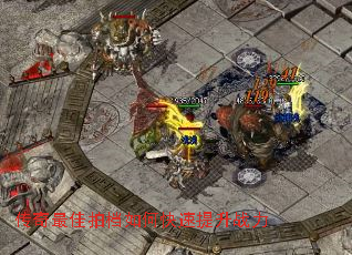 ��������ĵ���ο�������ս��