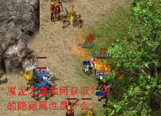 魔龙之血如何获取?它的隐藏属性是什么? 魔龙之血如何获取?它的隐藏属性是什么?