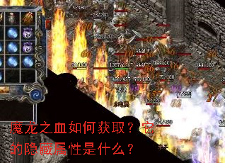 魔龙之血如何获取?它的隐藏属性是什么? 魔龙之血如何获取?它的隐藏属性是什么?
