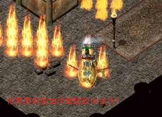 �����д̿���������������ɣ�