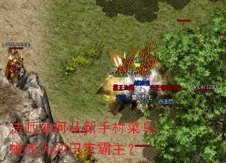 法师如何从新手村菜鸟蜕变为沙巴克霸主? 法师如何从新手村菜鸟蜕变为沙巴克霸主?