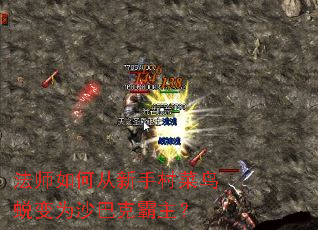 法师如何从新手村菜鸟蜕变为沙巴克霸主? 法师如何从新手村菜鸟蜕变为沙巴克霸主?