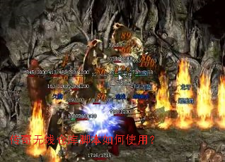 �������ֿ߲�ű����ʹ�ã�